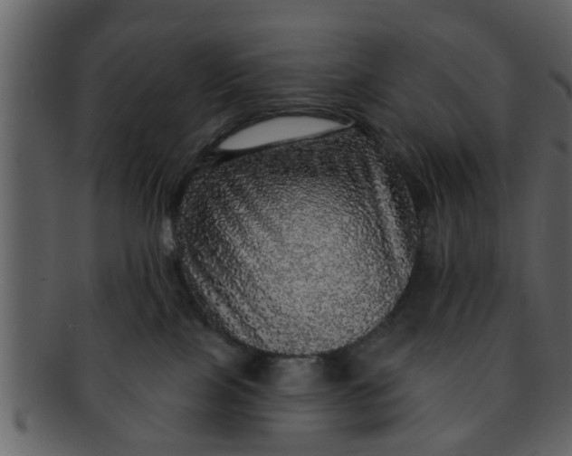 X0000093130089200710171316