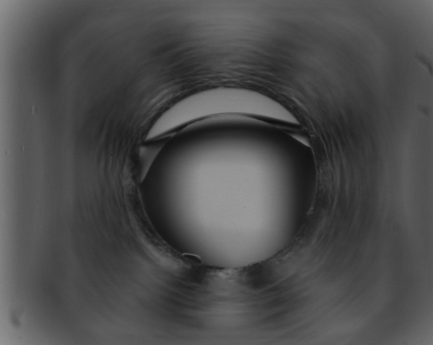 X0000093130092200710171316