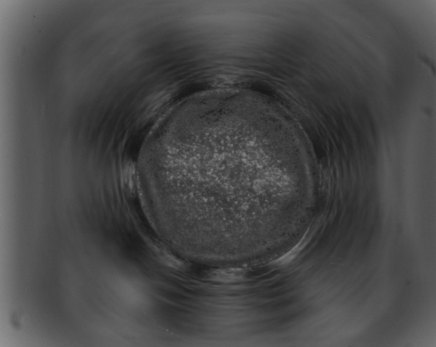 X0000093130094200710171317