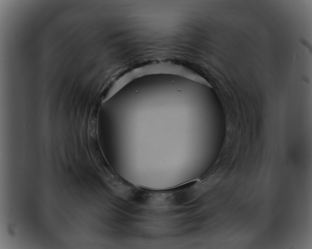 X0000093130096200710171317