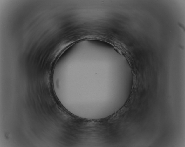 X0000093130098200710171316