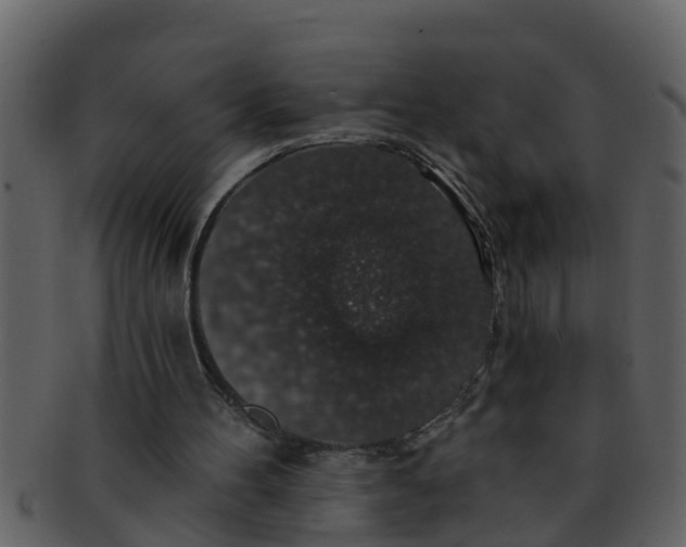X0000093130100200710171316