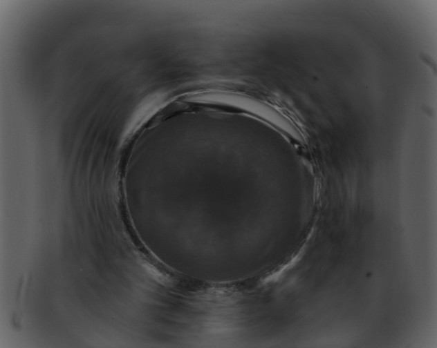 X0000093130101200710171316