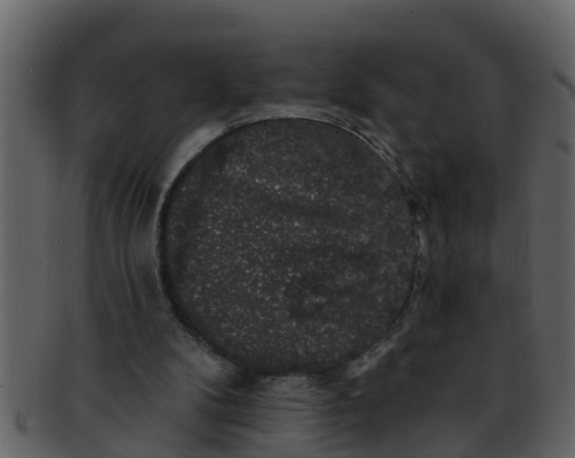 X0000093130104200710171316
