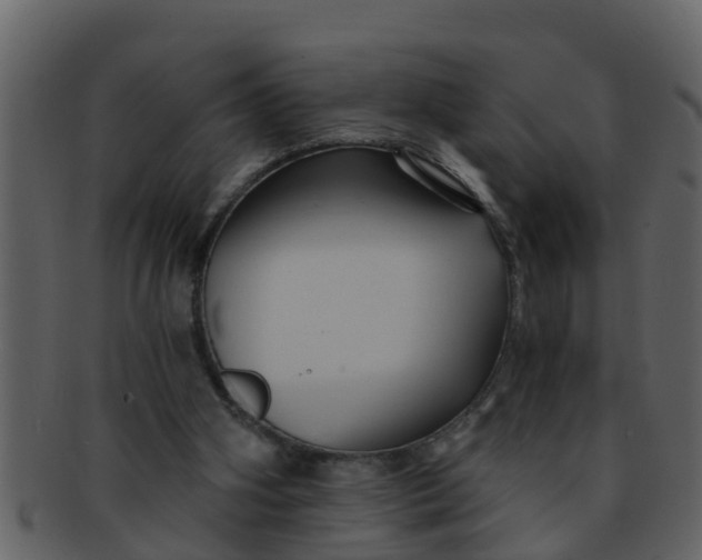 X0000093130106200710171316
