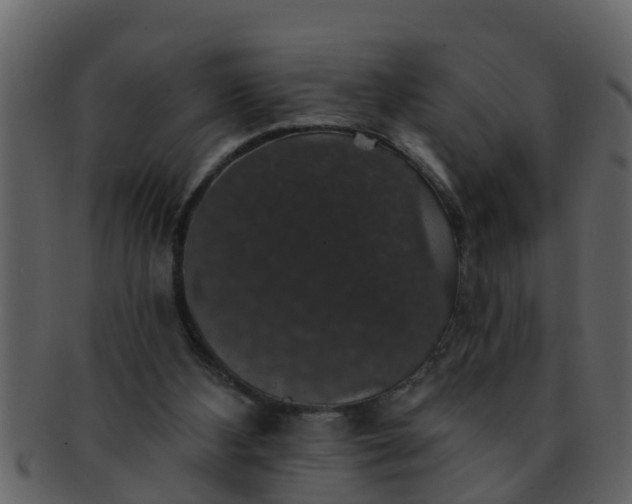 X0000093130108200710171316