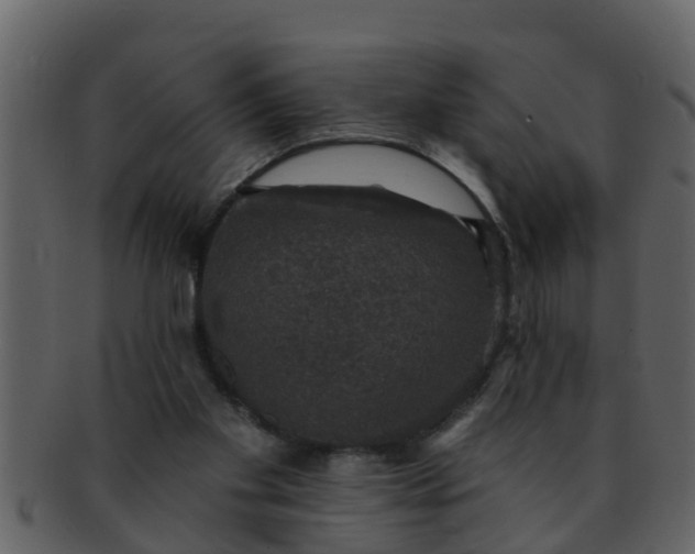 X0000093130109200710171316