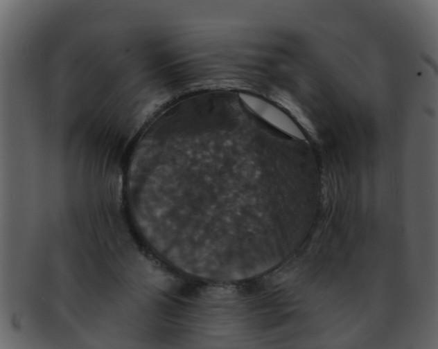 X0000093130110200710171316