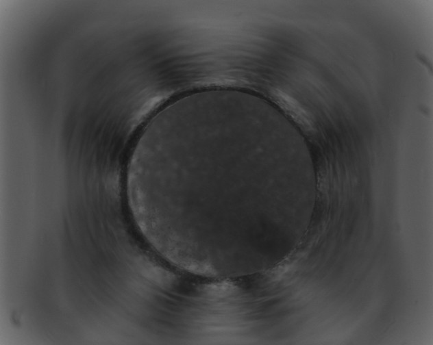 X0000093130112200710171316