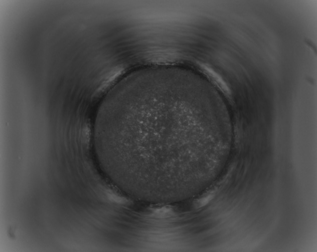 X0000093130113200710171316