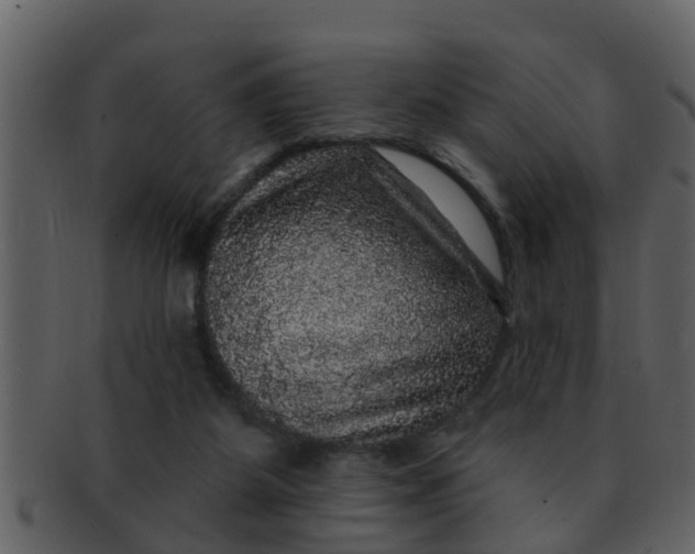 X0000093130115200710171316