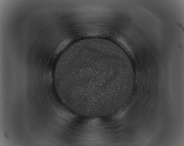 X0000093130116200710171316