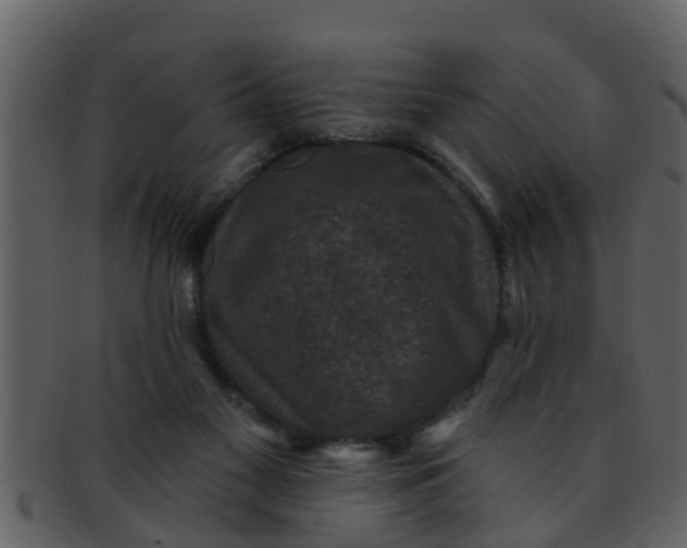 X0000093130117200710171316