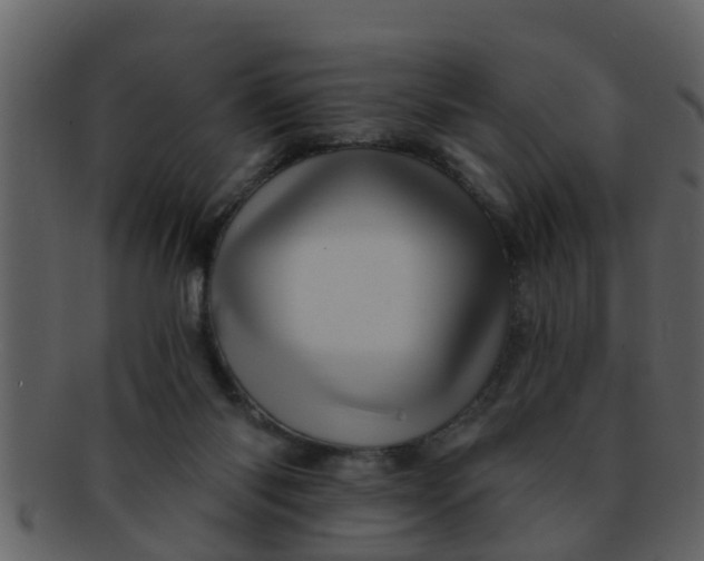 X0000093130118200710171316