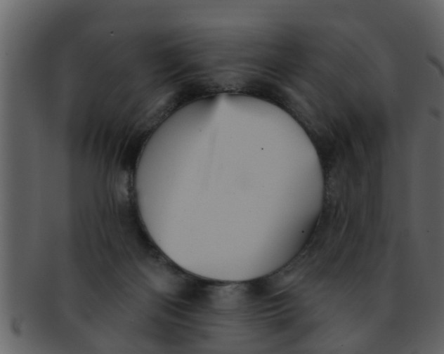 X0000093130122200710171316