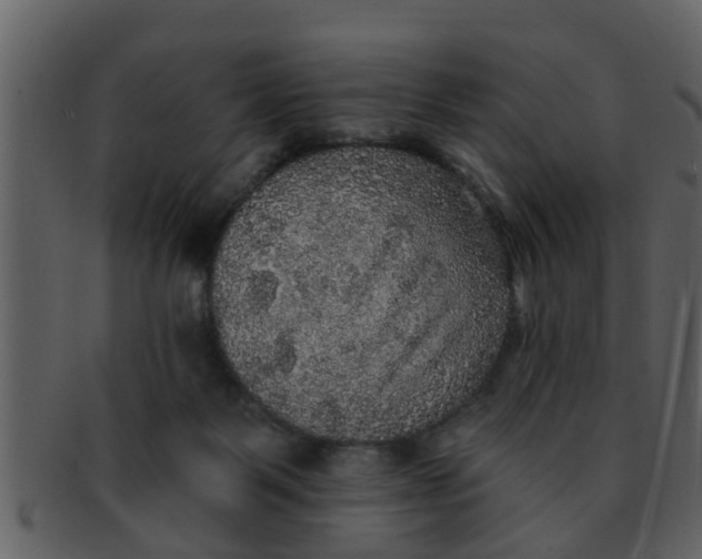 X0000093130123200710171316