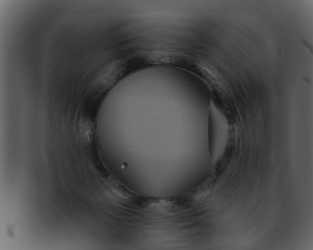 X0000093130125200710171315