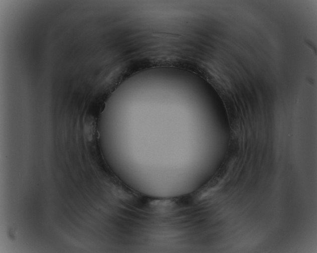 X0000093130133200710171315