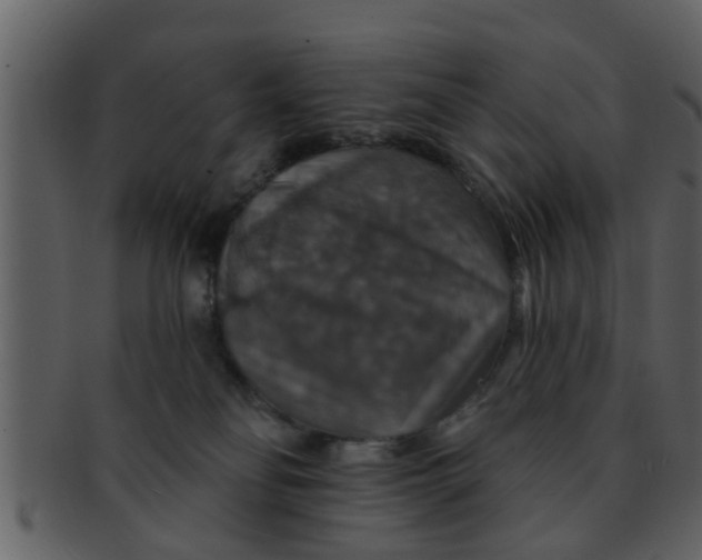 X0000093130134200710171315