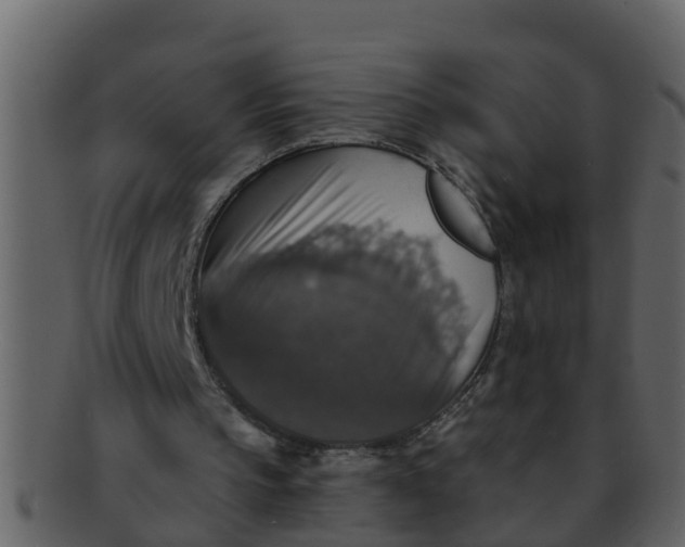 X0000093130145200710171315