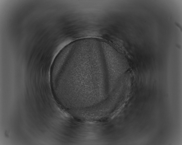 X0000093130148200710171315