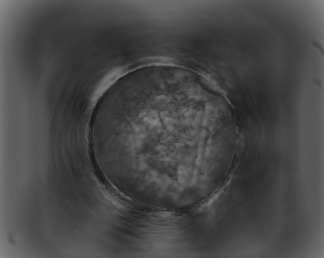 X0000093130151200710171315