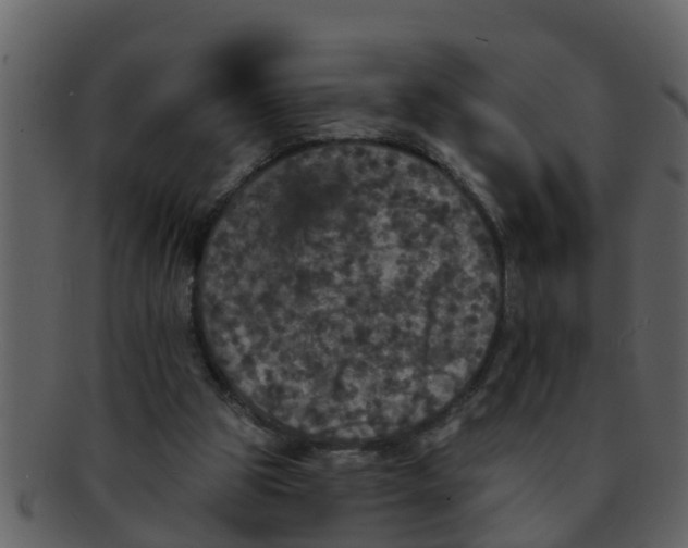 X0000093130153200710171315