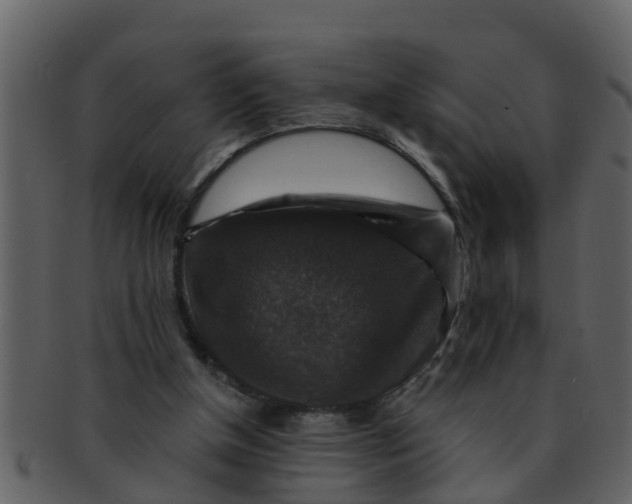 X0000093130154200710171315