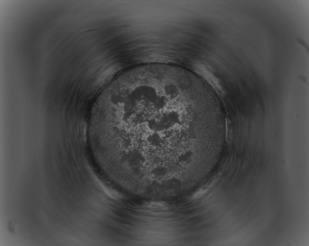 X0000093130157200710171315
