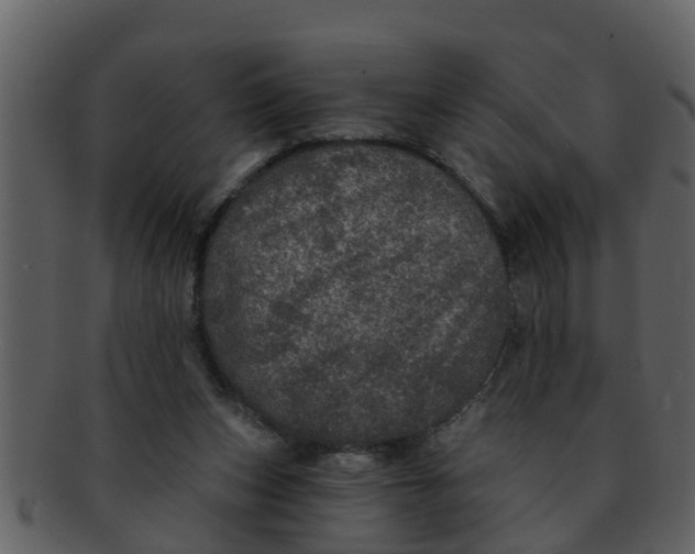 X0000093130159200710171315