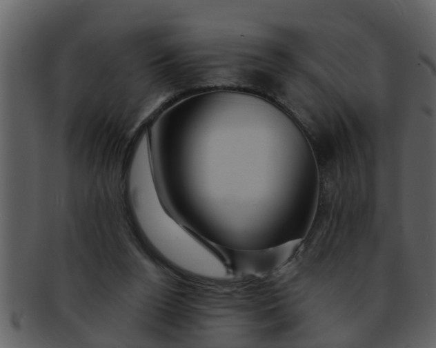 X0000093130160200710171315