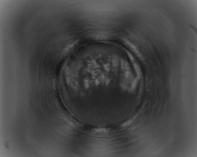 X0000093130161200710171315