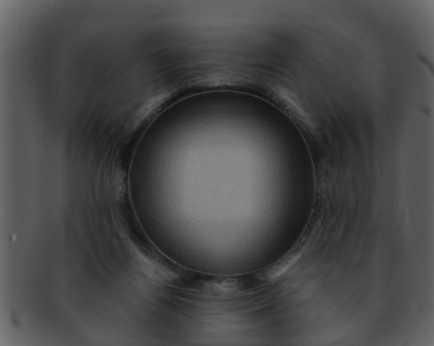 X0000093130164200710171315