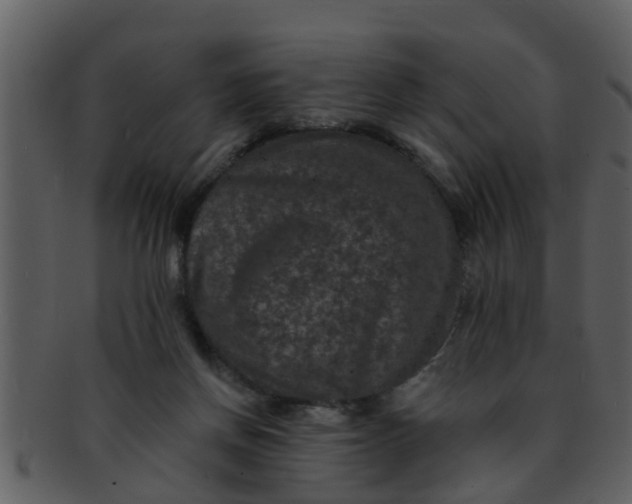 X0000093130166200710171315