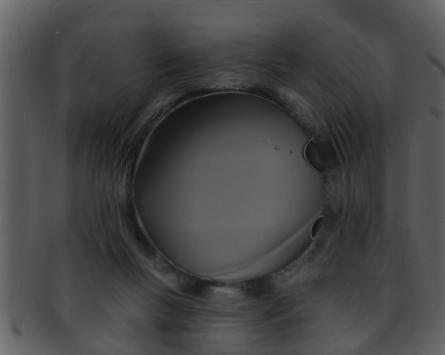 X0000093130167200710171315