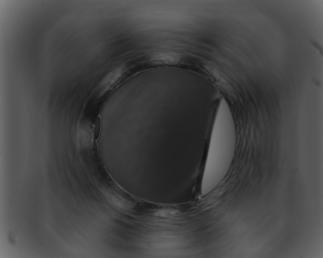 X0000093130168200710171315