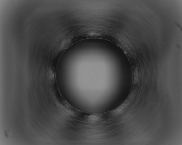 X0000093130176200710171315