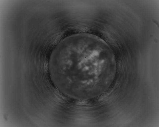 X0000093130177200710171315