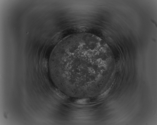 X0000093130178200710171315