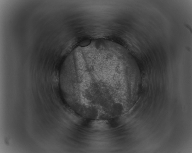 X0000093130179200710171315