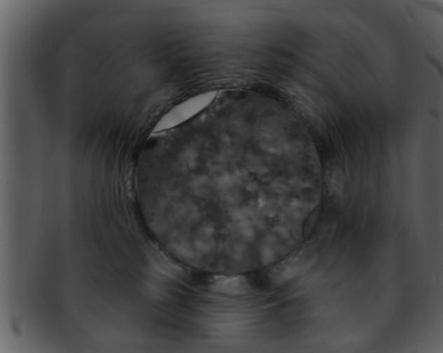 X0000093130185200710171315