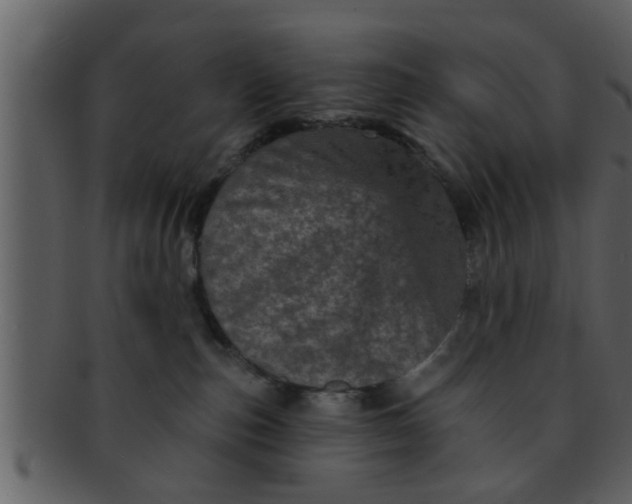 X0000093130187200710171315