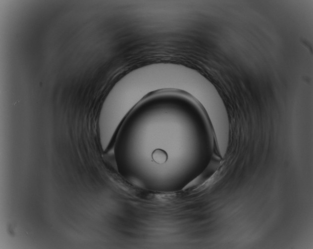 X0000093130188200710171315