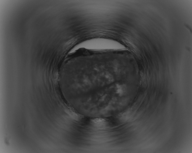 X0000093130189200710171315