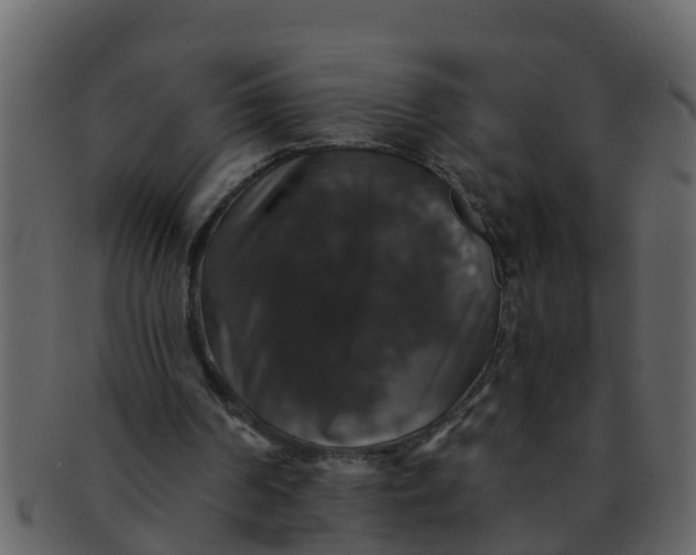 X0000093130194200710171315