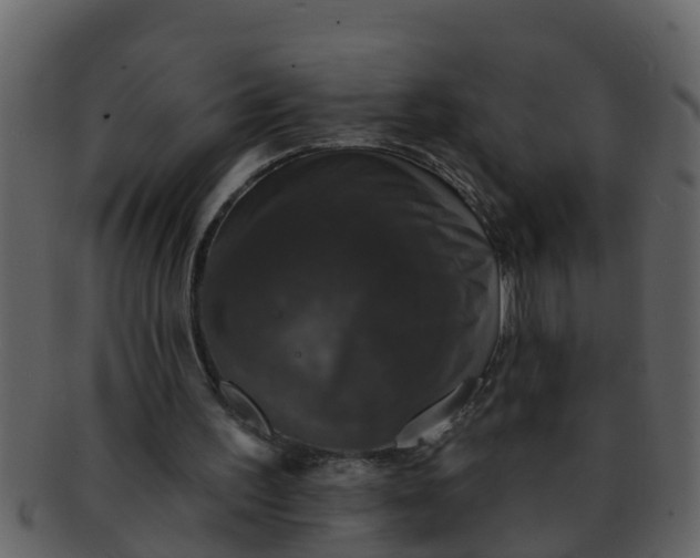 X0000093130195200710171315