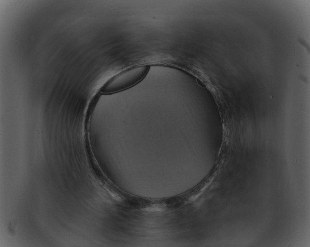 X0000093130196200710171315