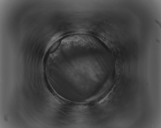 X0000093130198200710171315