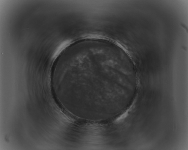 X0000093130199200710171314