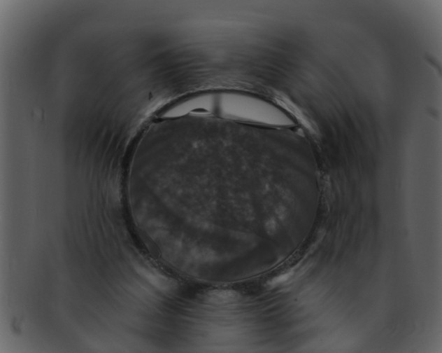 X0000093130203200710171314